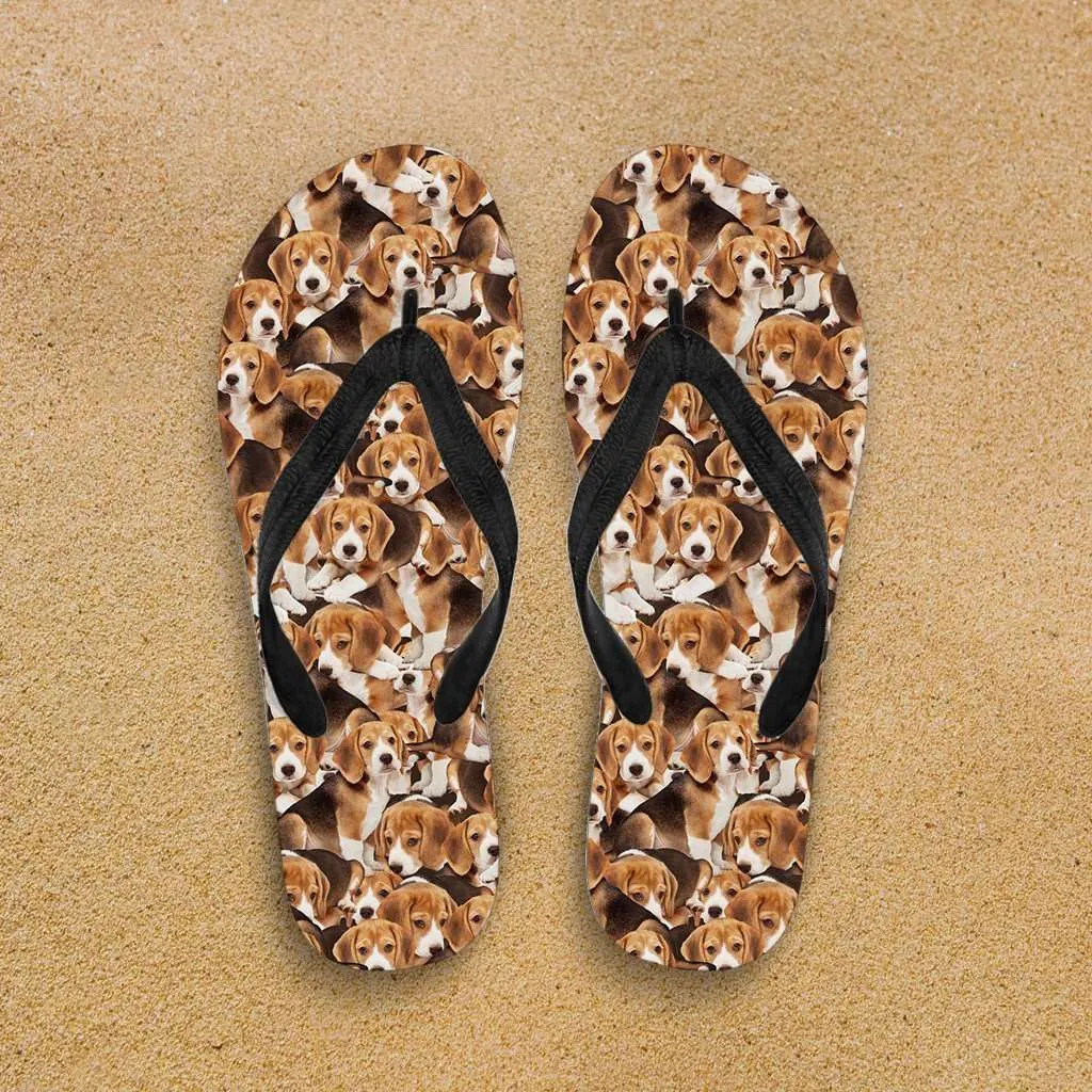 Beagles Flip Flops