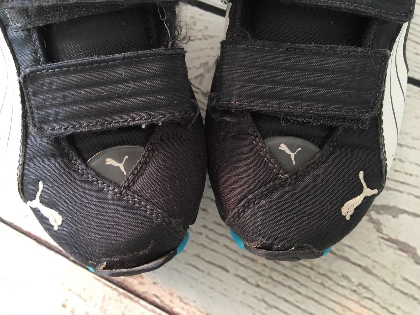Size 12 puma trainers